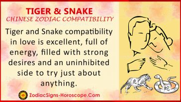 Tiger and Snake Love Compatibility, Relationship, Traits in Chinese Zodiac