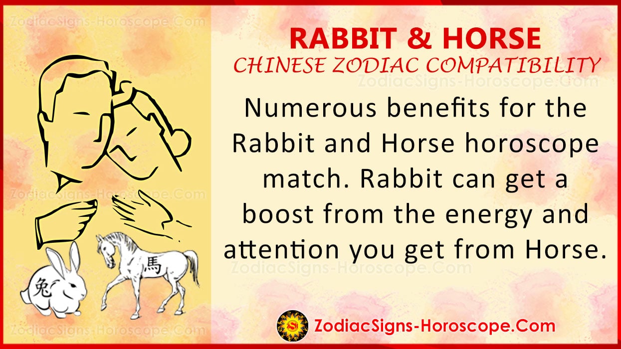 Rabbit and Horse Chinese Zodiac Compatibility Love and Relationship