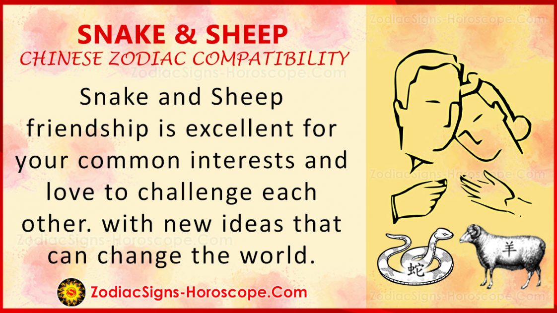 Snake and Sheep Chinese Zodiac Compatibility Love and Relationship