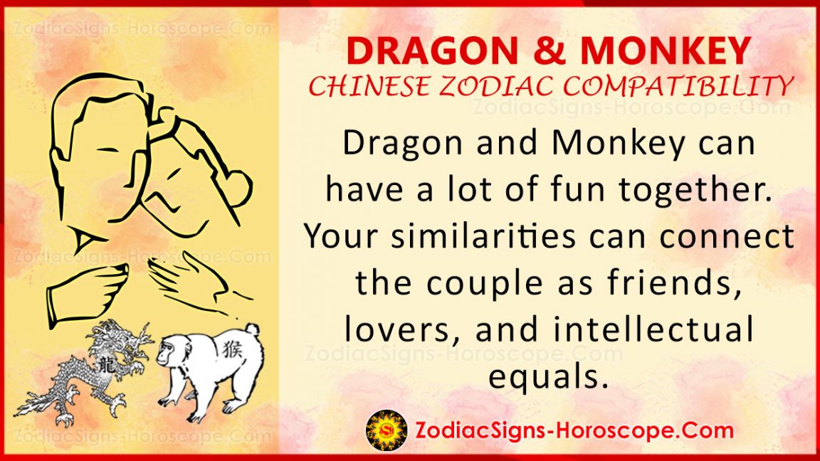 Dragon and Monkey Chinese Zodiac Compatibility Love and Relationship