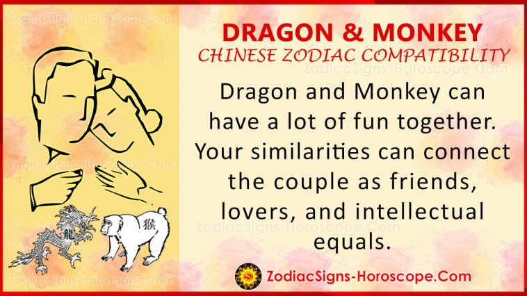 Dragon and Monkey Compatibility