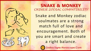 Snake and Monkey Chinese Zodiac Compatibility: Love and Relationship
