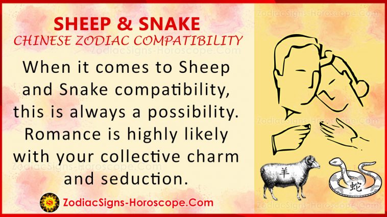 Sheep and Snake Chinese Zodiac Compatibility