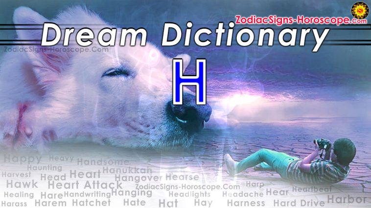 Từ điển giấc mơ của từ H - Trang 2