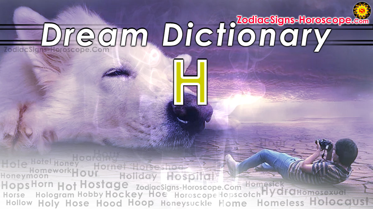 Dream Dictionary H (4): Dream Interpretation of Symbols Starting with H