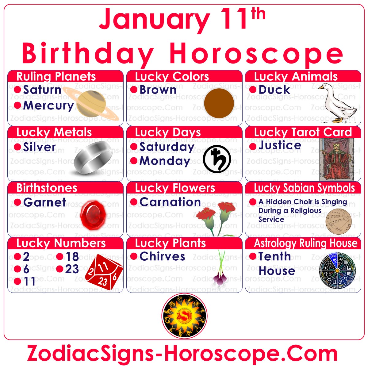 January 11 Zodiac Accurate Birthday Personality Horoscope ZSH