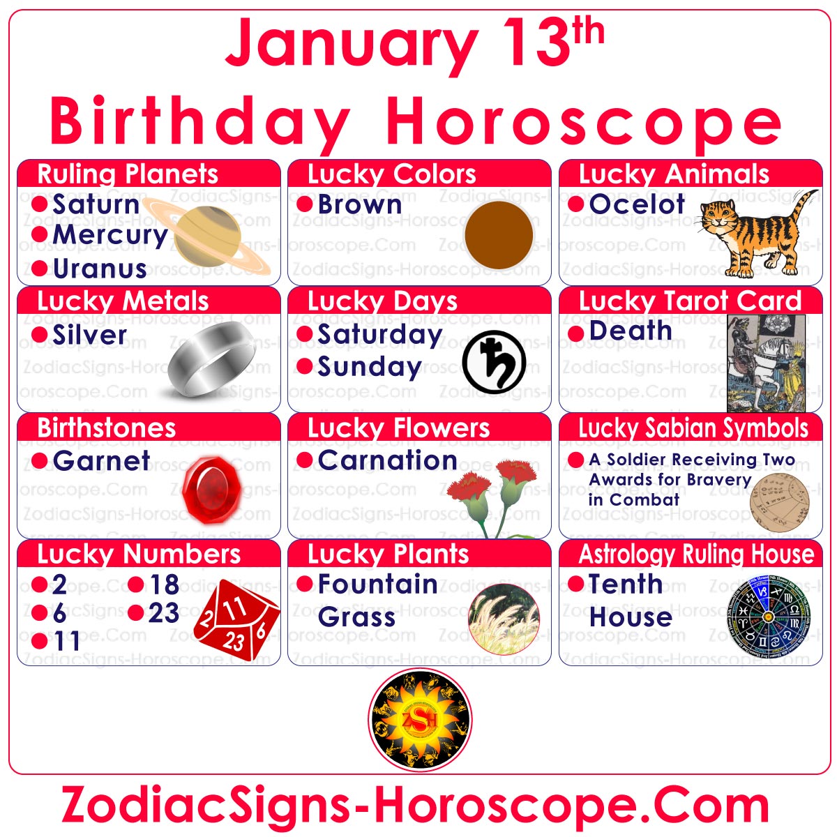 January 13 Zodiac Accurate Birthday Personality Horoscope ZSH