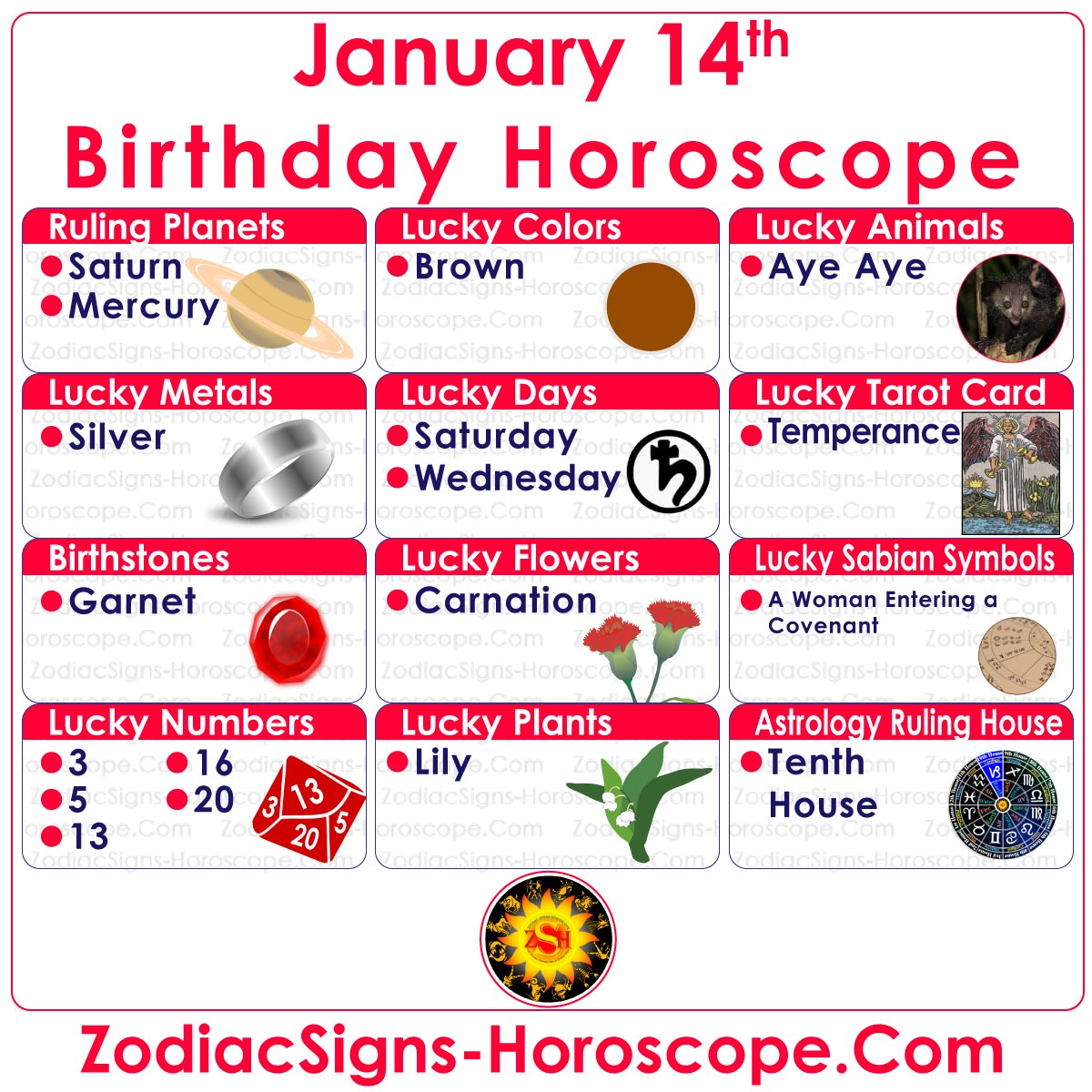 15 февраля зодиак мужчина. 15 Января Зодиак. 14 Января гороскоп. Birthstones by Zodiac sign.