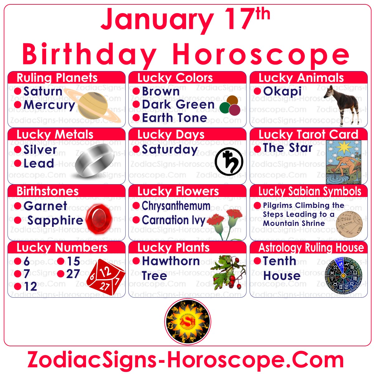 January 17 Zodiac Complete Birthday Personality and Horoscope ZSH