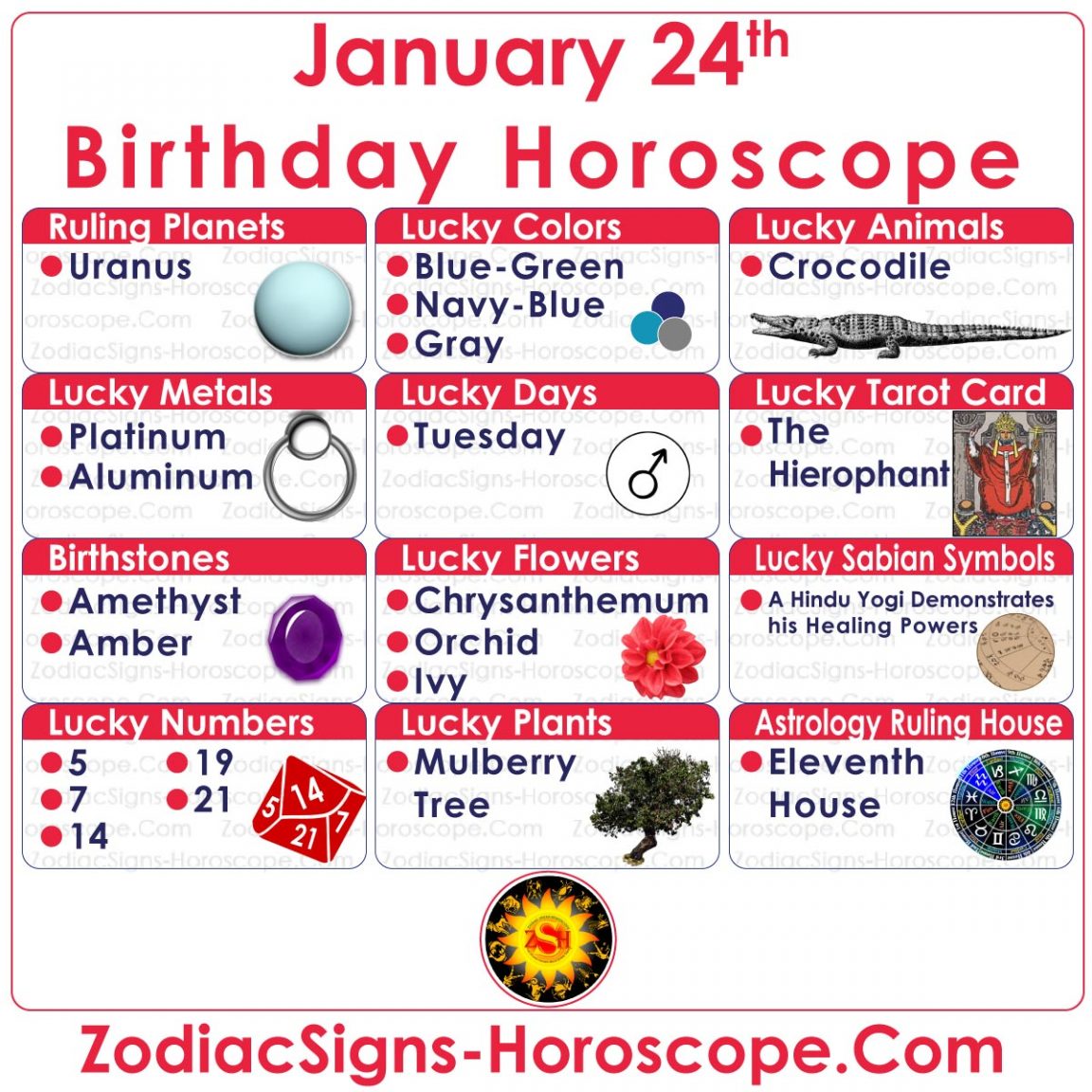 January 24 Zodiac (Aquarius) Horoscope Birthday Personality and Lucky