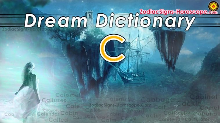 Dream Dictionary of C-ord - Side 1