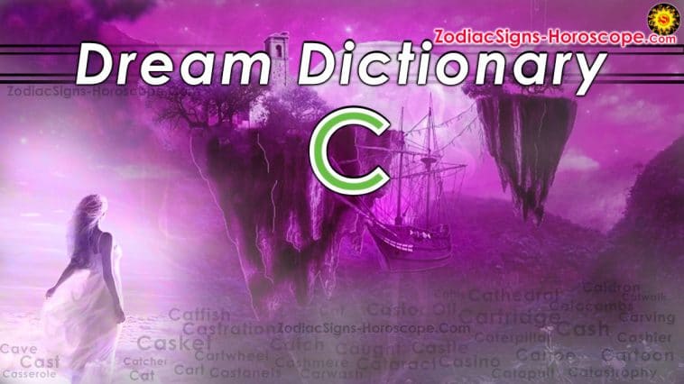 Dream Dictionary of C-ord - Side 4