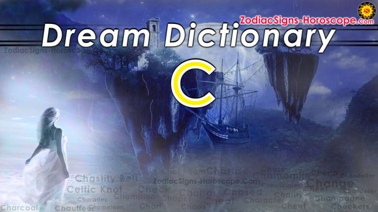 C 단어의 꿈 사전 - 페이지 6