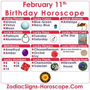 February 11 Zodiac (Aquarius) Horoscope Birthday Personality and Lucky