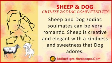 Sheep and Dog Compatibility, Love and Marriage in Chinese Zodiac