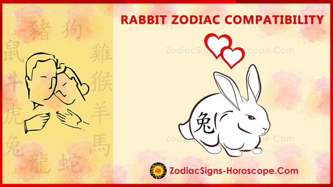 Chinese Compatibility Archives - Page 9 of 23 - ZSH | ZodiacSigns