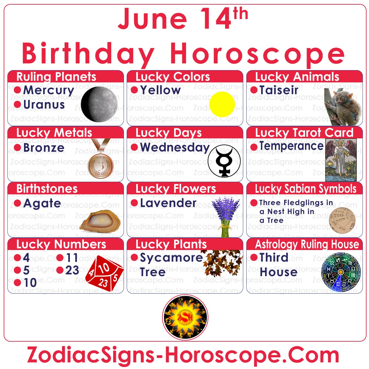 June 14 Zodiac Complete Birthday Personality and Horoscope ZSH