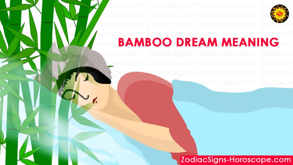 Bamboo Dream Meaning, Interpretation and Dream Symbolism