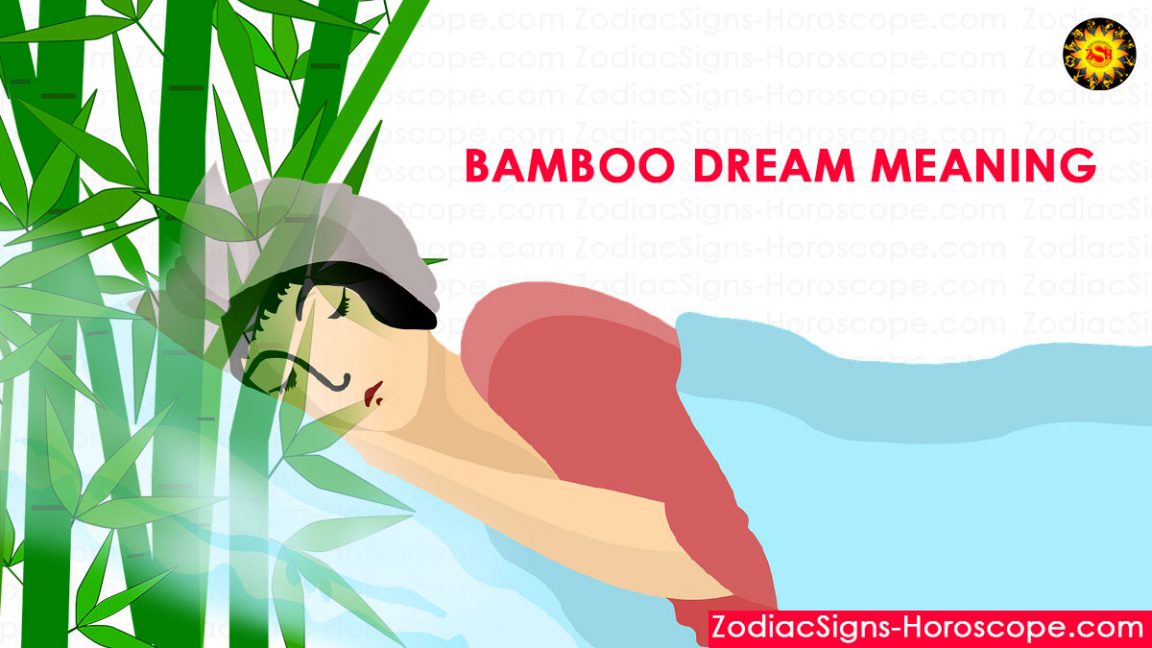 Bamboo Dream Meaning, Interpretation and Dream Symbolism