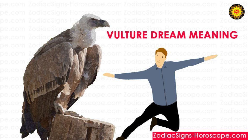 Vulture Dream Meaning Dream Interpretation and Vulture Symbolism