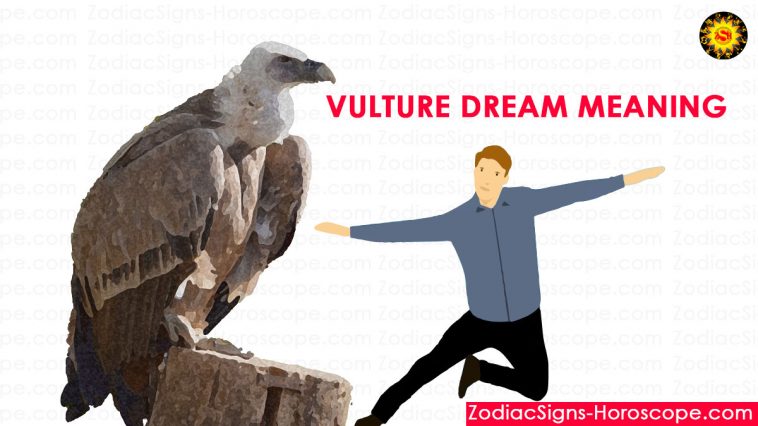 Maksud Mimpi Vulture