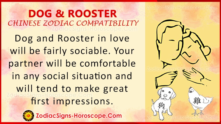 Dog and Rooster Love Compatibility