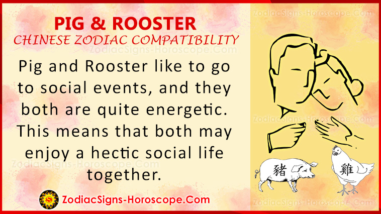 Pig and Rooster Love Compatibility