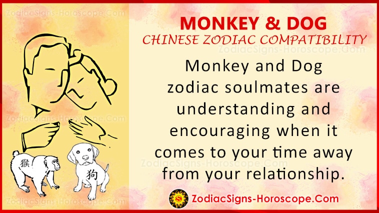 Monkey and Dog Compatibility