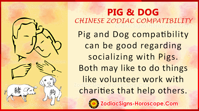 Pig and Dog Love Compatibility