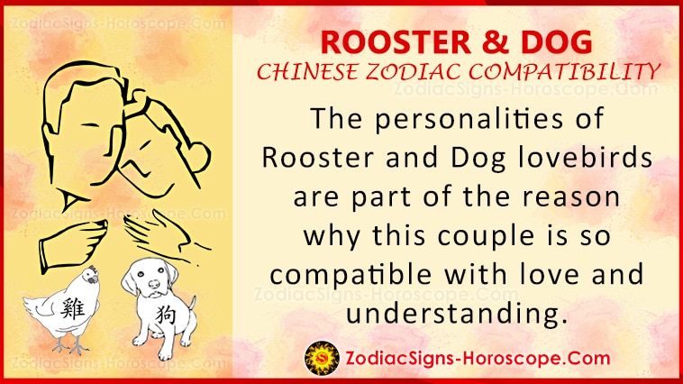 Rooster and Dog Compatibility