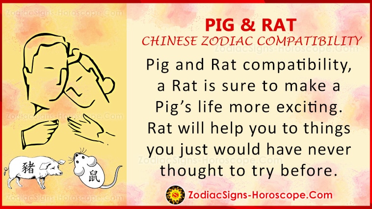 Ljubavna kompatibilnost svinje i štakora