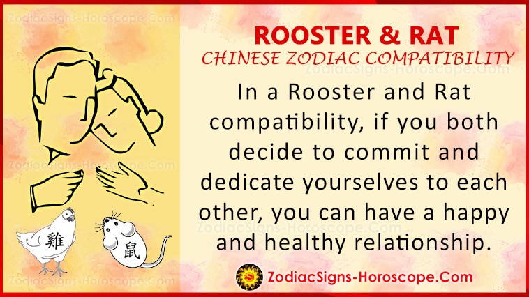 Rooster and Rat Compatibility