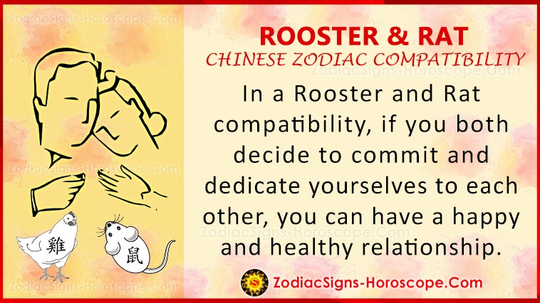 Rooster and Rat Compatibility