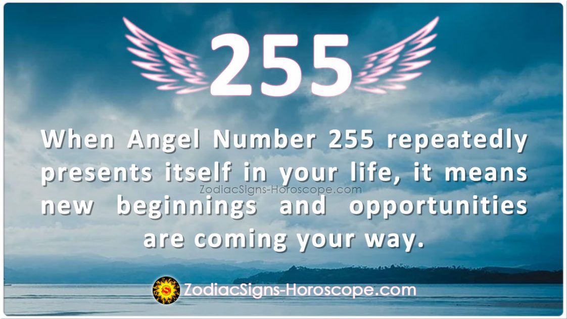 Angel Number 255 Means New Beginnings and Opportunities are Coming