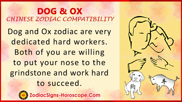 Dog and Ox Love Compatibility