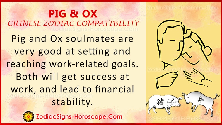 Pig and Ox Love Kompatibilitet