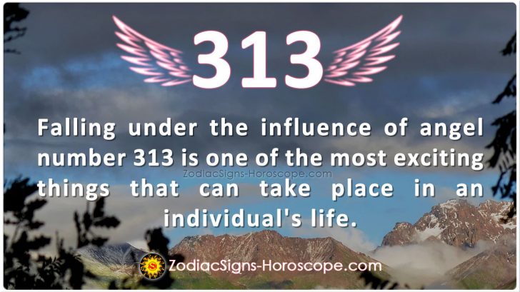 Angel Number 313 Helps You to Influence Your Future Goals 313 Angel