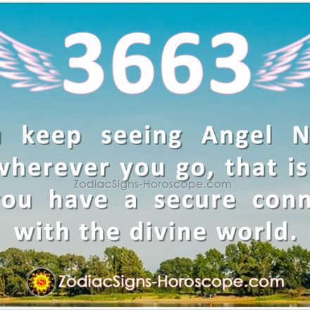 Angel Number 3737 Says True Love and Compassion Conquers All