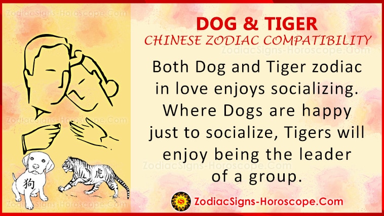 Hunde- und Tigerliebe-Kompatibilität