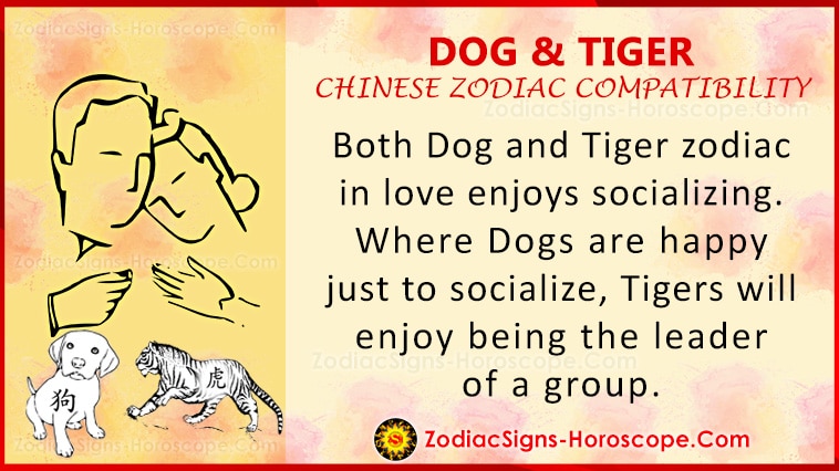 Dog and Tiger Love Compatibility