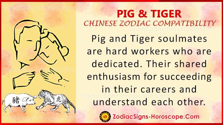 Pig and Tiger Love Compatibility