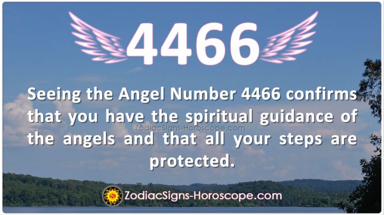 Значење броја анђела 4466