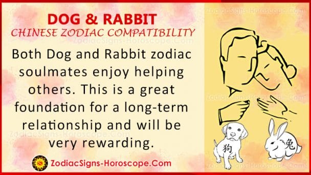 Dog Zodiac Sign Rabbit Dog and Rabbit Compatibility: Zodiac Traits and Love Compatibility