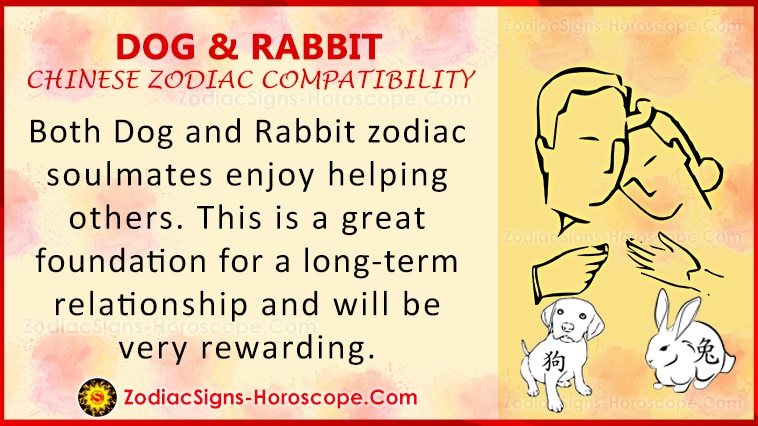 Dog and Rabbit Love Compatibility