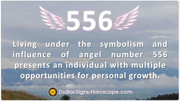 Značenje broja anđela 556