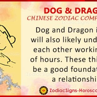 Dog and Snake Compatibility: Zodiac Traits and Love Compatibility