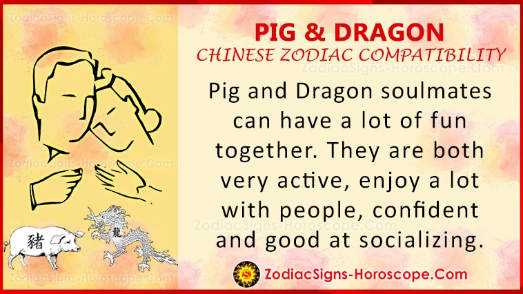 Pig and Dragon Love Compatibility