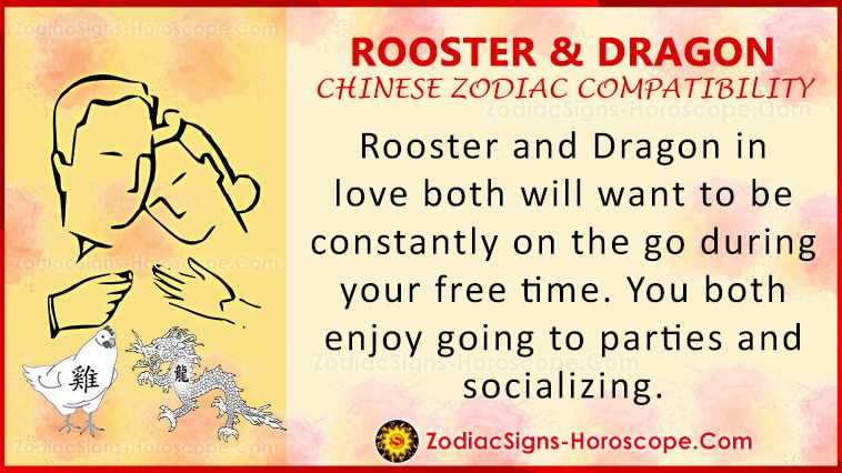 Rooster and Dragon Compatibility