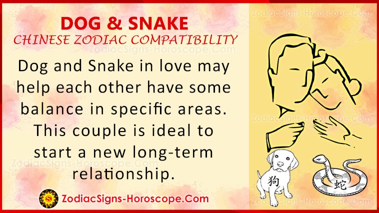 Ljubavna kompatibilnost psa i zmije