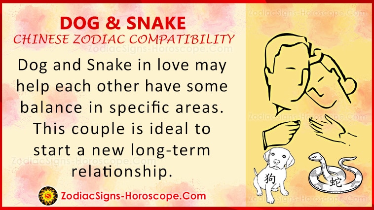 Dog and Snake Love Compatibility